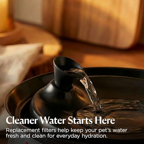 BISSELL HydrateWell Cat Water Fountain with Filter