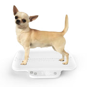 High-Precision Digital Pet Scale for Small Animals