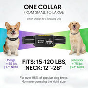 Safehalo Wireless GPS Dog Fence Collar with 48H Battery