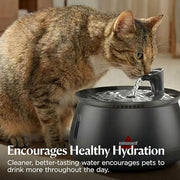 BISSELL HydrateWell Cat Water Fountain with Filter