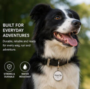 KeeperTag NFC & QR Dog ID Tag with Real-Time Scan Alerts