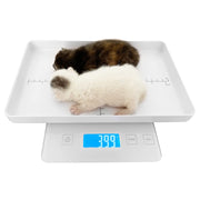 High-Precision Digital Pet Scale for Small Animals