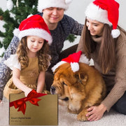 High-Precision Digital Pet Scale for Small Animals