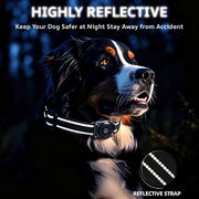 HB15 G1 GPS Dog Collar with Real-Time Location Tracking