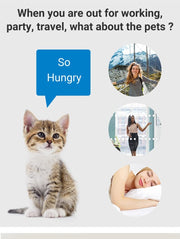 cyhymq 5L Dual-Bowl Smart Automatic Pet Feeder with Timer