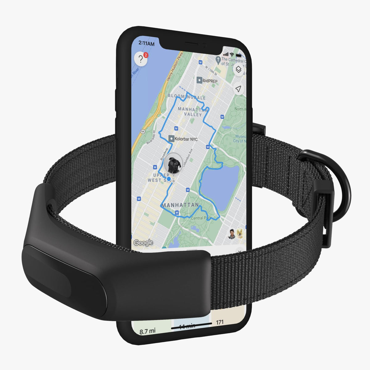 Averia GPS Dog Collar with Activity & Location Tracking