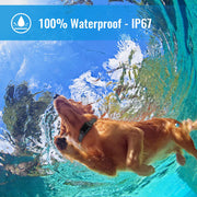 Petrainer Waterproof Remote Dog Training Collar with 3 Modes