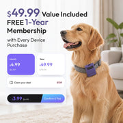 WAGGURACY 4G LTE GPS Dog Tracker with Activity Monitoring