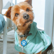 MYLUCKYTAG NFC & QR Pet ID Tag with Location Alerts