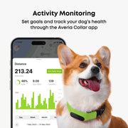 Averia GPS Dog Collar with Activity & Location Tracking