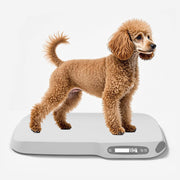 Digital Pet Scale for Small Dogs & Cats, Up to 88 lb
