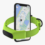 Averia GPS Dog Collar with Activity & Location Tracking