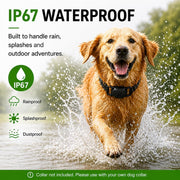 Waterproof GPS Dog Collar with Apple Find My, No Monthly Fee