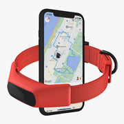Averia GPS Dog Collar with Activity & Location Tracking
