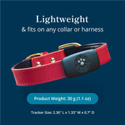 Petivity Smart GPS Dog Tracker with Activity Monitoring