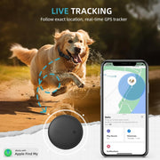 HB15 G1 GPS Dog Collar with Real-Time Location Tracking