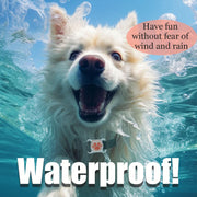 Smart GPS Dog Tracker with Real-Time Location Tracking