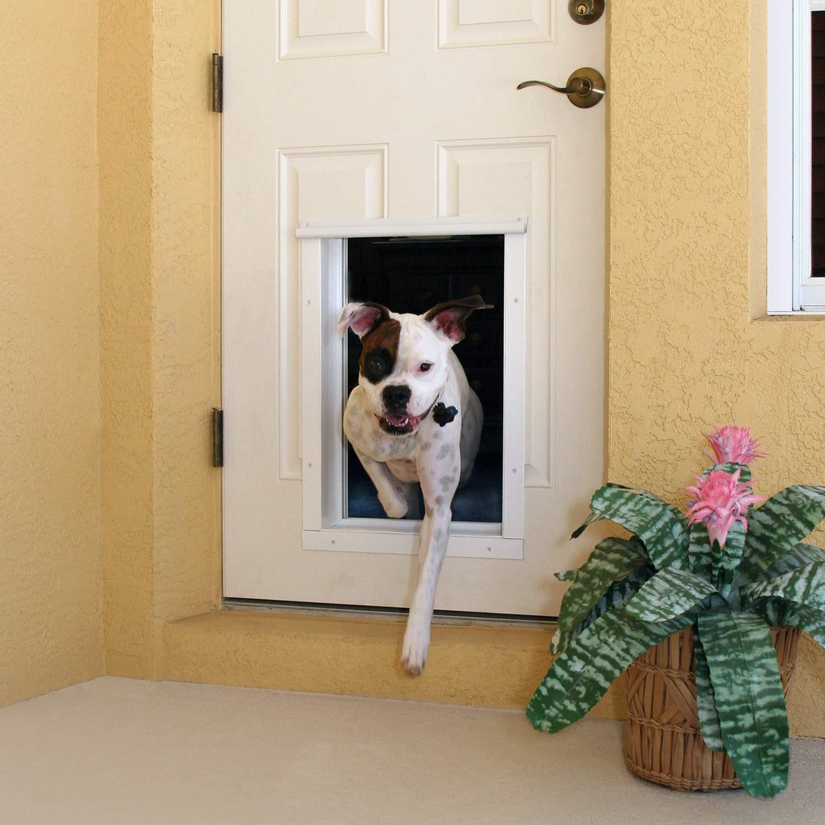 Plexidor Performance Automatic Electronic Dog Door - Bronze