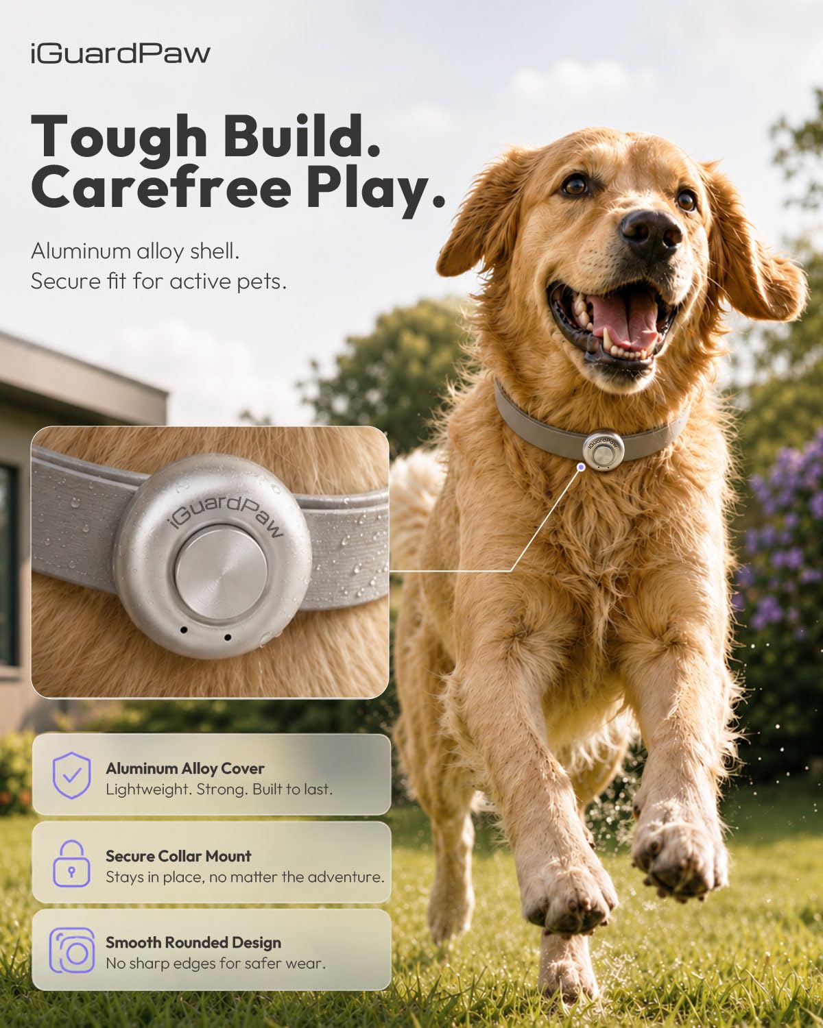 iGuardPaw Collar Sensor for Smart Automatic Dog Doors