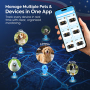 Smart GPS Dog Tracker with Virtual Fence & Health Monitoring