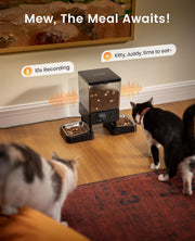 oneisall 5L Dual-Bowl Automatic Cat Feeder for 2 Cats
