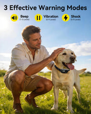 Gladsmile GPS Wireless Dog Fence with 3 Correction Modes