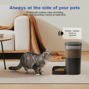 ANDOLL HOME 4L Automatic Pet Feeder with Timed Dispensing