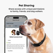 Averia GPS Dog Collar with Activity & Location Tracking