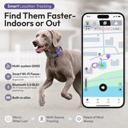 WAGGURACY 4G LTE GPS Dog Tracker with Activity Monitoring