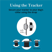 Petivity Smart GPS Dog Tracker with Activity Monitoring