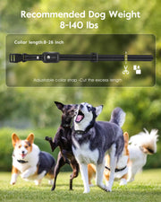 SLOPEHILL Remote Dog Training Collar with 4200FT Range