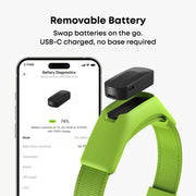 Averia GPS Dog Collar with Activity & Location Tracking
