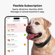 Averia GPS Dog Collar with Activity & Location Tracking