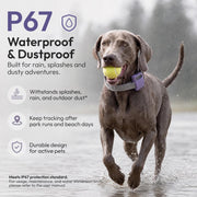 WAGGURACY 4G LTE GPS Dog Tracker with Activity Monitoring