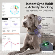 WAGGURACY 4G LTE GPS Dog Tracker with Activity Monitoring