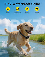 Gladsmile GPS Wireless Dog Fence with 3 Correction Modes