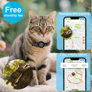 GPS Pet Tracker Collar for Cats with Location Tracking