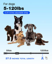 Bousnic Remote Dog Training Collar with Adjustable Modes