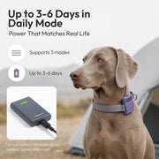 WAGGURACY 4G LTE GPS Dog Tracker with Activity Monitoring