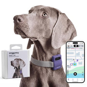 WAGGURACY 4G LTE GPS Dog Tracker with Activity Monitoring