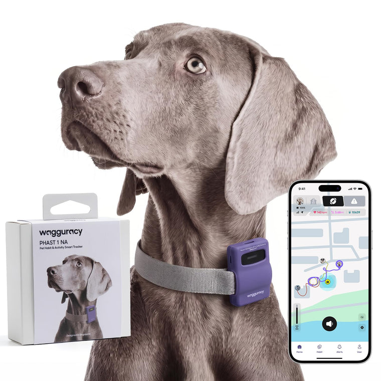 WAGGURACY 4G LTE GPS Dog Tracker with Activity Monitoring