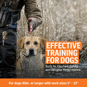 SportDOG WetlandHunter 425X Remote Dog Training Collar