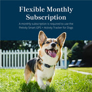 Petivity Smart GPS Dog Tracker with Activity Monitoring
