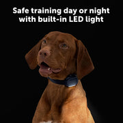 PetSafe Animal Collar for Dogs and Household Pets