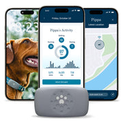 Petivity Smart GPS Dog Tracker with Activity Monitoring