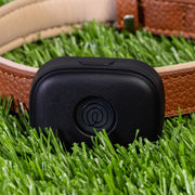 Life360 Pet GPS Tracker with Escape Alerts & 14-Day Battery