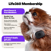 Life360 Pet GPS Tracker with Escape Alerts & 14-Day Battery