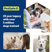 PetSafe Animal Collar for Dogs and Household Pets