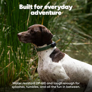 Life360 Pet GPS Tracker with Escape Alerts & 14-Day Battery