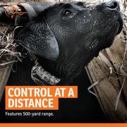 SportDOG WetlandHunter 425X Remote Dog Training Collar